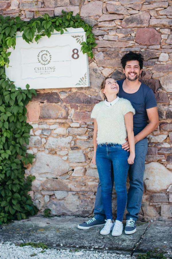 Cselling Udvarhaz Révfülöp エクステリア 写真